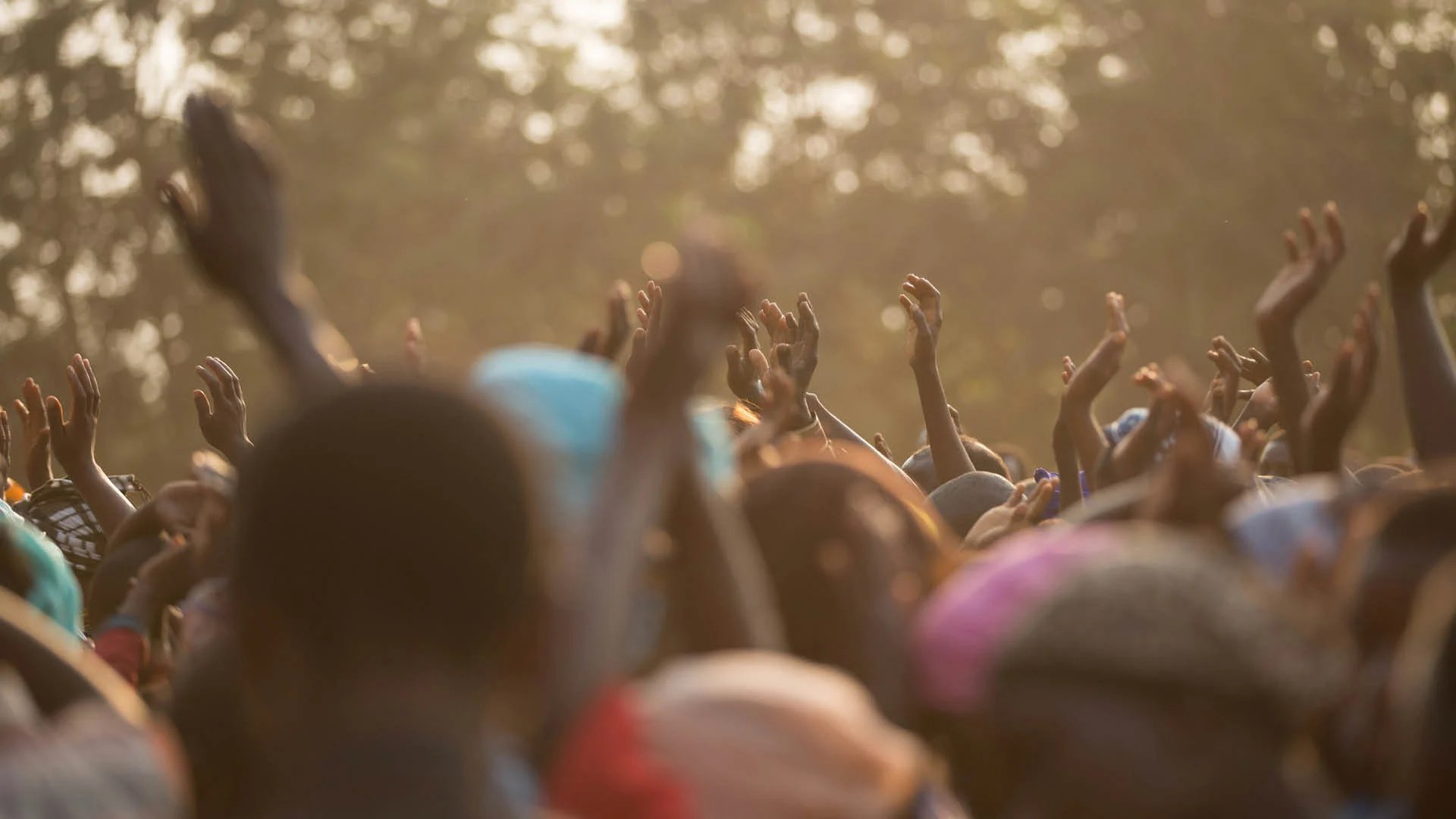 Stop the Violence, Start the Healing | PLEASE sign the petition and SHARE.